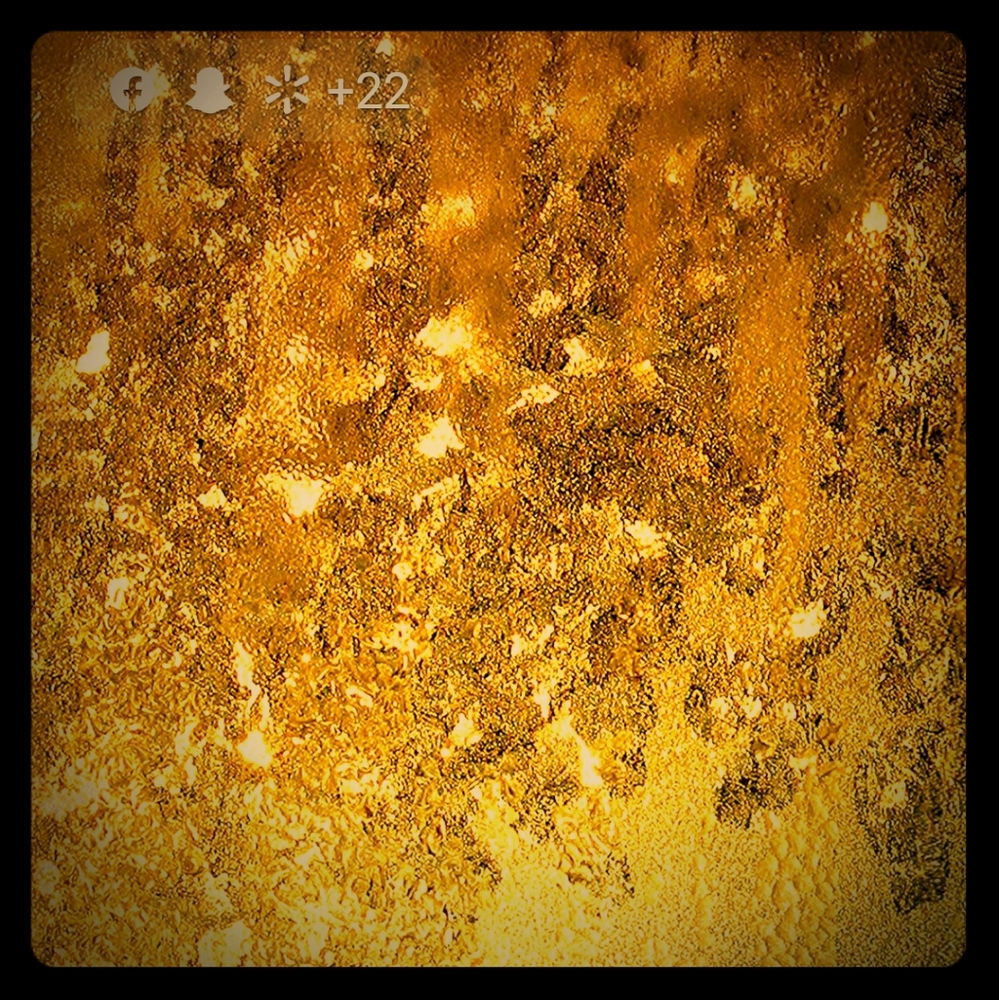 Meet your Posher, Jessie